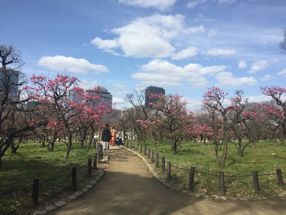 Photo of Japan Part 2 - Day trip from Kyoto by Mariya Nalawala