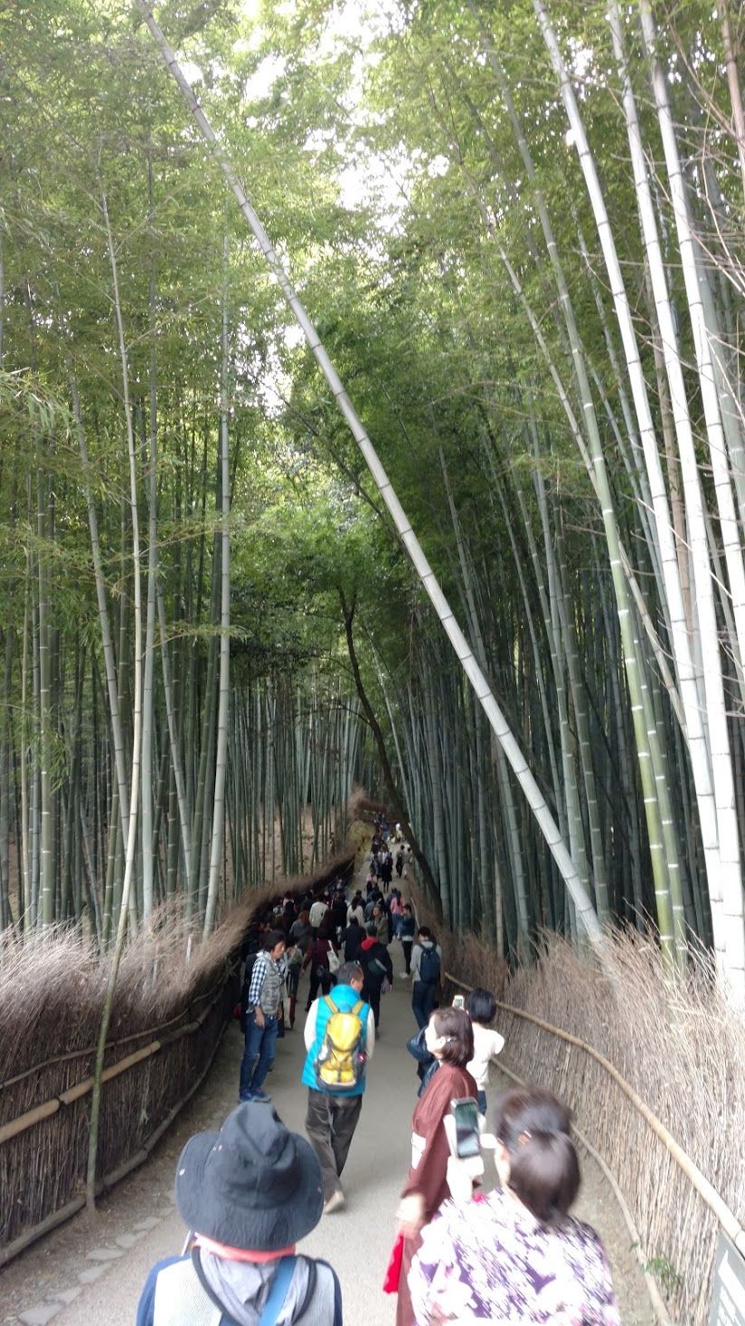 Photo of Japan Part 2 - Day trip from Kyoto by Mariya Nalawala