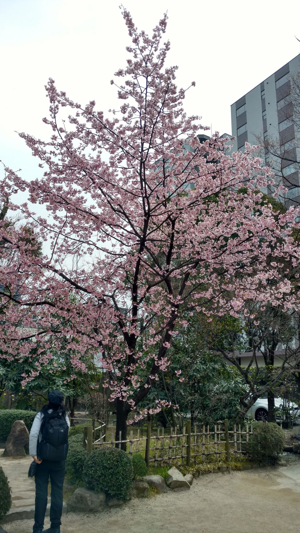 Photo of Japan Part 1 - Kyoto by Mariya Nalawala