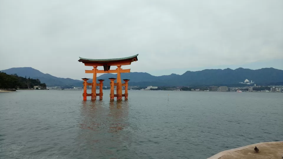 Photo of Miyajima Island, Hatsukaichi, Hiroshima Prefecture, Japan by Mariya Nalawala