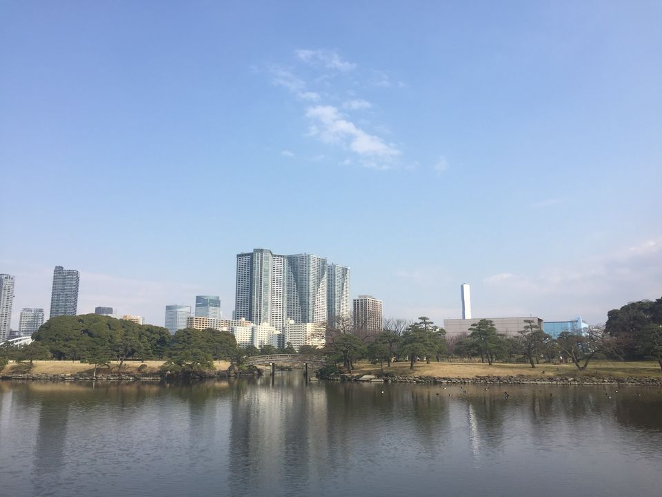 Photo of Japan Part 4 - Tokyo by Mariya Nalawala