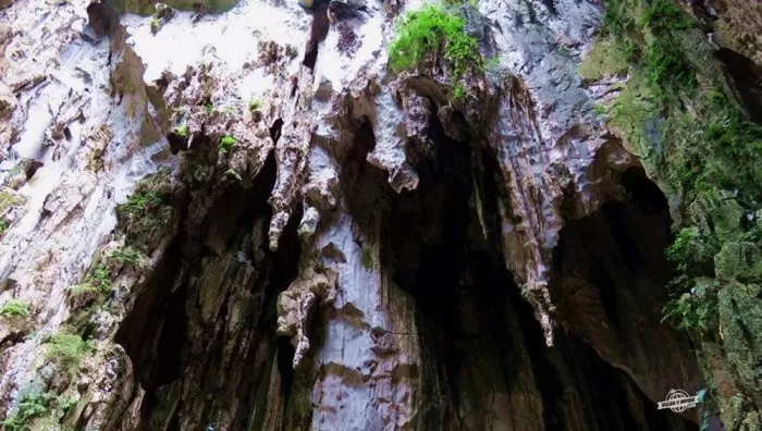 Photo of My top 10 places to see in Malaysia by Mariya Nalawala