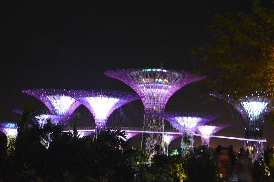 Photo of Singapore - Attractive attractions 8/29 by Mariya Nalawala