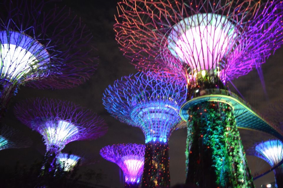 Photo of Singapore - Attractive attractions 6/29 by Mariya Nalawala