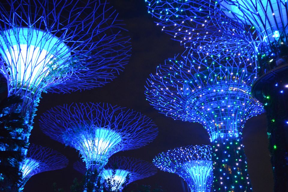 Photo of Singapore - Attractive attractions 7/29 by Mariya Nalawala