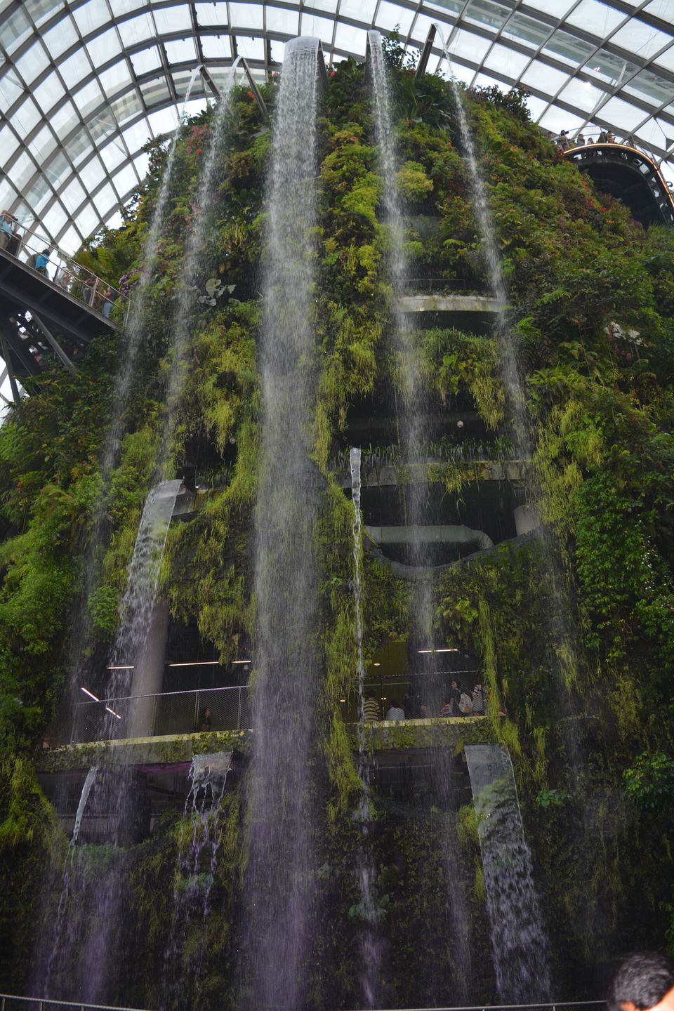 Photo of Singapore - Attractive attractions 3/29 by Mariya Nalawala