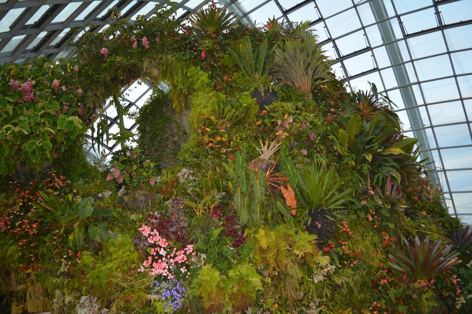 Photo of Singapore - Attractive attractions 4/29 by Mariya Nalawala