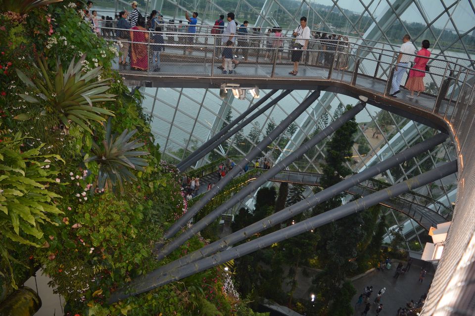 Photo of Singapore - Attractive attractions 5/29 by Mariya Nalawala