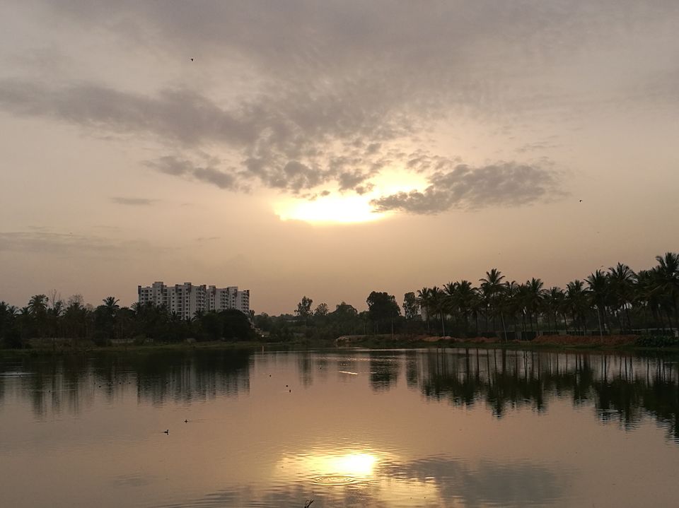 Photo of YOUR NEXT ROAD TRIP: BUSTLING BANGALORE TO MAGICAL MUNNAR 2/14 by jhanvi Sehgal