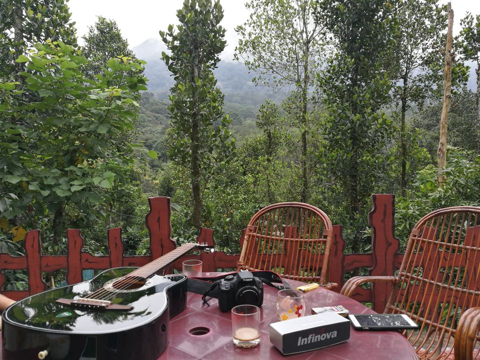 Photo of YOUR NEXT ROAD TRIP: BUSTLING BANGALORE TO MAGICAL MUNNAR 6/14 by jhanvi Sehgal