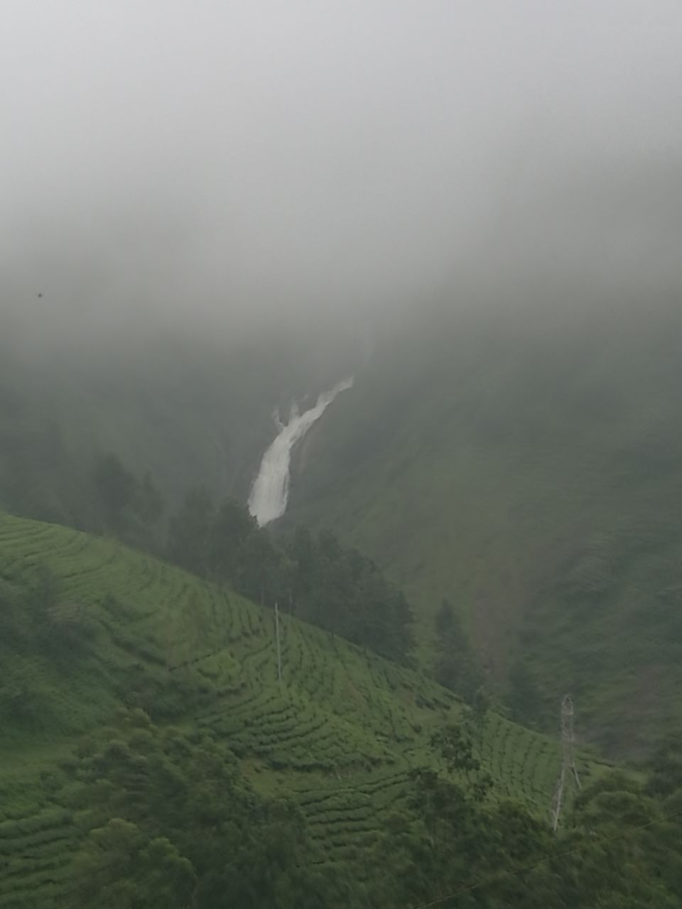 Photo of YOUR NEXT ROAD TRIP: BUSTLING BANGALORE TO MAGICAL MUNNAR 8/14 by jhanvi Sehgal