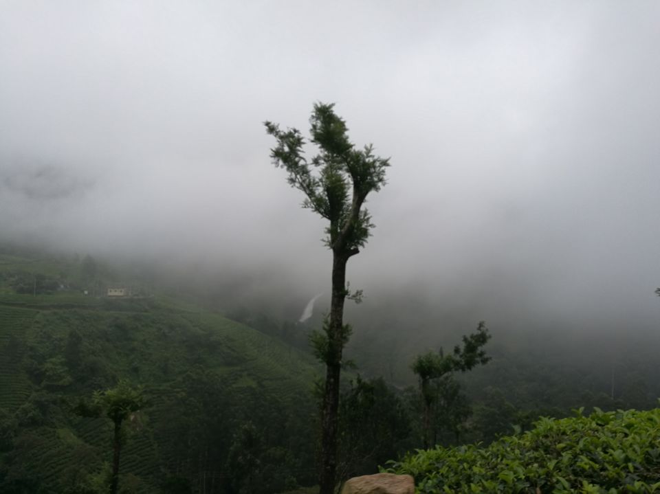 Photo of YOUR NEXT ROAD TRIP: BUSTLING BANGALORE TO MAGICAL MUNNAR 9/14 by jhanvi Sehgal