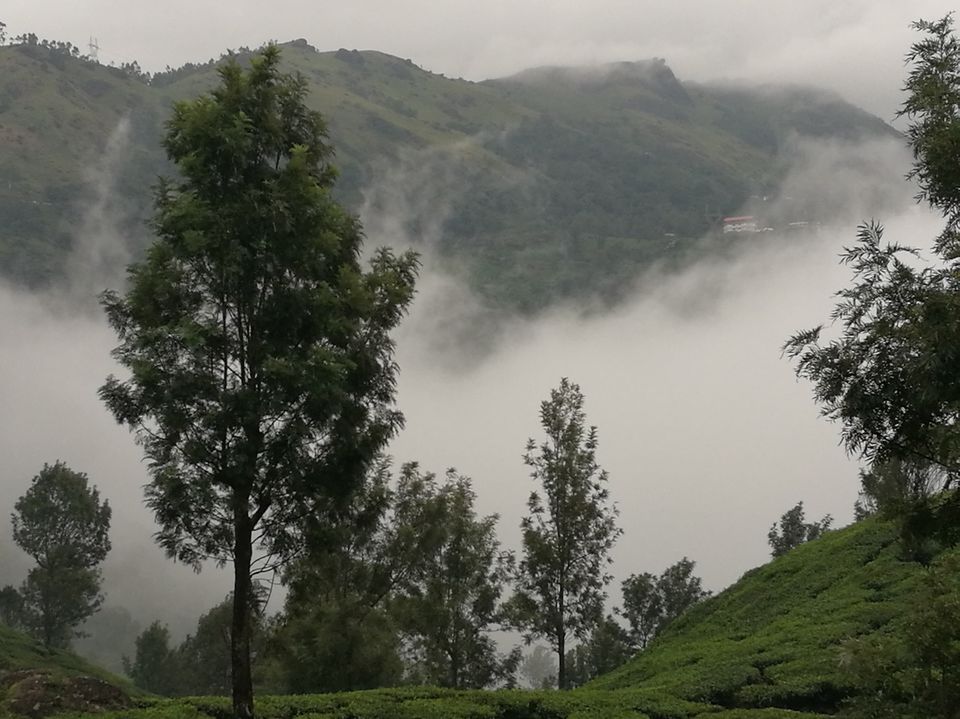 Photo of YOUR NEXT ROAD TRIP: BUSTLING BANGALORE TO MAGICAL MUNNAR 10/14 by jhanvi Sehgal