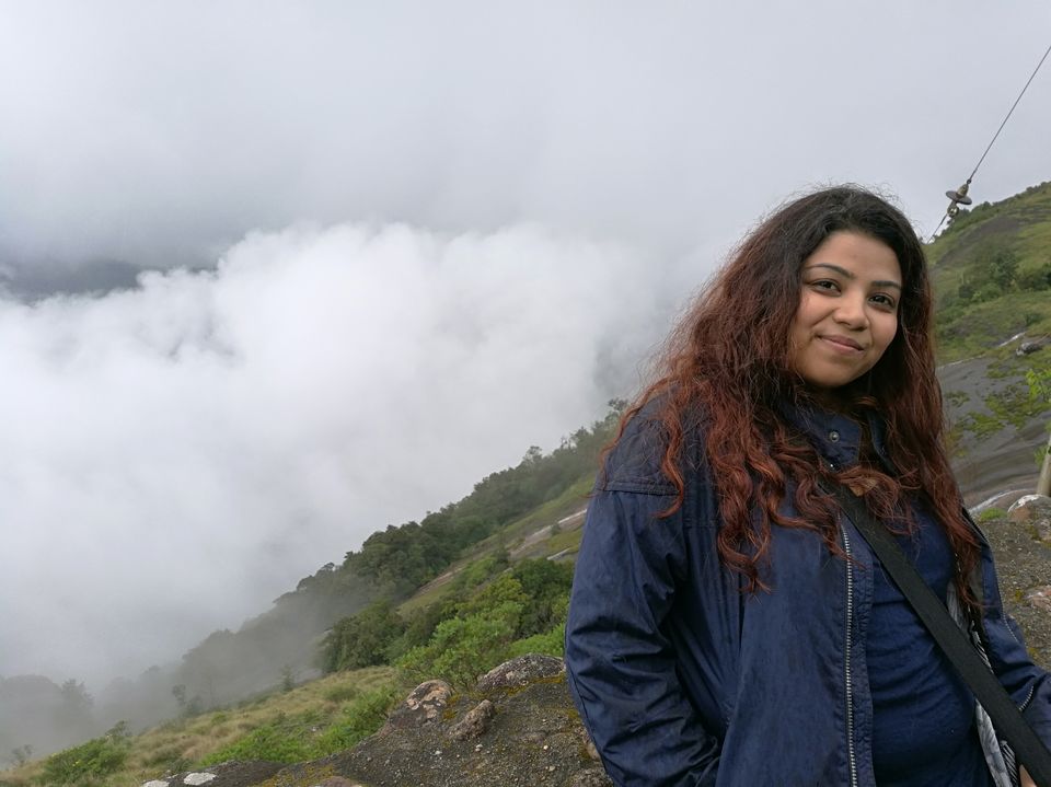Photo of YOUR NEXT ROAD TRIP: BUSTLING BANGALORE TO MAGICAL MUNNAR 11/14 by jhanvi Sehgal