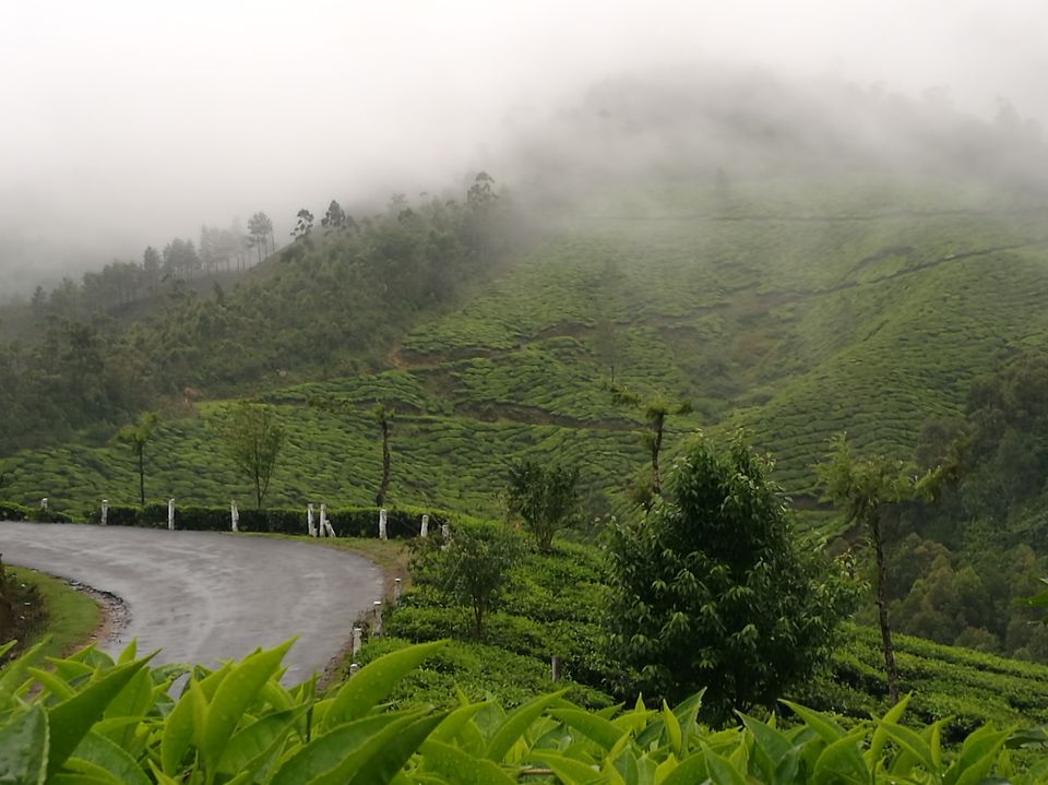 Photo of YOUR NEXT ROAD TRIP: BUSTLING BANGALORE TO MAGICAL MUNNAR 13/14 by jhanvi Sehgal