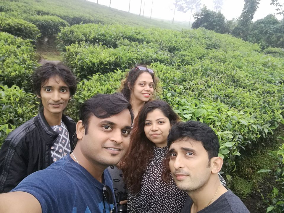 Photo of YOUR NEXT ROAD TRIP: BUSTLING BANGALORE TO MAGICAL MUNNAR 14/14 by jhanvi Sehgal