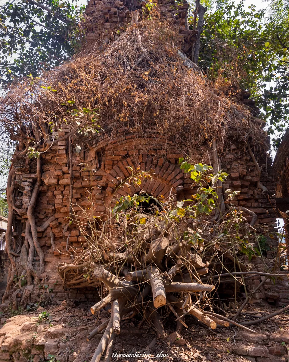 Photo of A tale of despair by Shuv Mukherjee (thewandering_shuv)