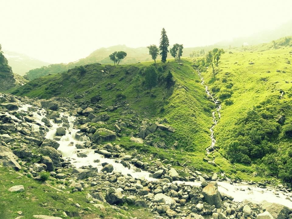 Photo of Why a moderate-level trek in the monsoons promises you a once-in-a-lifetime view of the Himalayas 14/19 by Shashi Priya