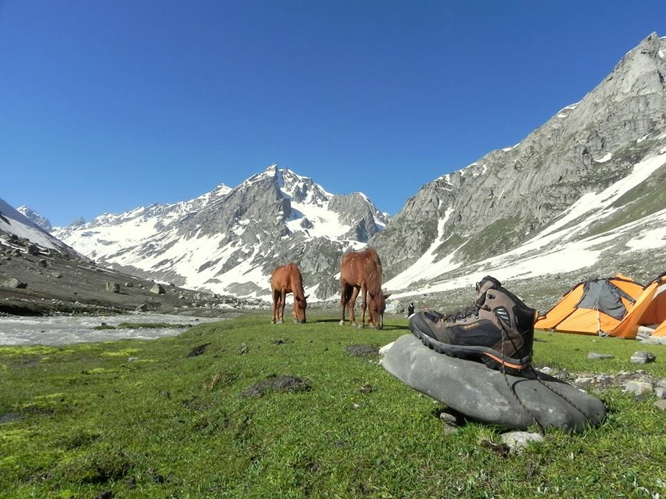 Photo of Why a moderate-level trek in the monsoons promises you a once-in-a-lifetime view of the Himalayas 2/19 by Shashi Priya