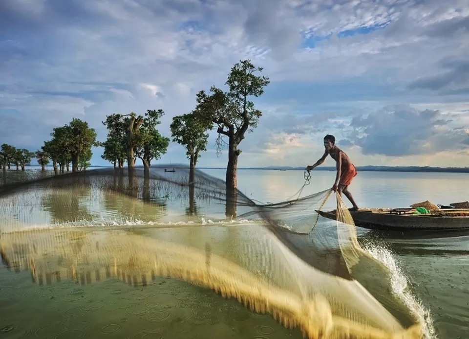 Photo of Sone Beel, Karimganj, Assam, India by Shashi Priya