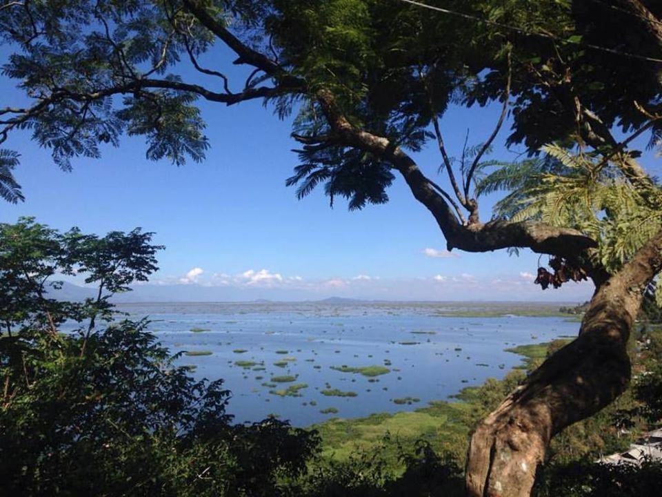 Photo of Move Over Tawang, Living Root Bridges, Hornbill; Enter Palak Dil, Wah Krip, Aoling by Shashi Priya