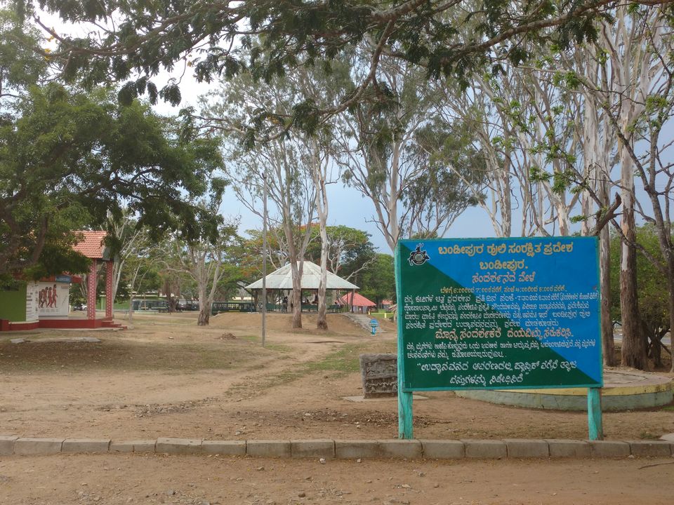 Photo of Bandipur, Karnataka, India by Prajwal Chengappa