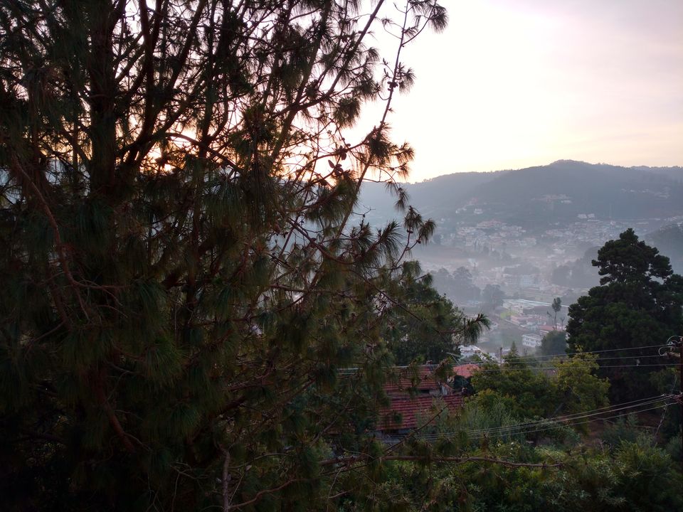 Photo of Numero Uno :Ooty by Prajwal Chengappa