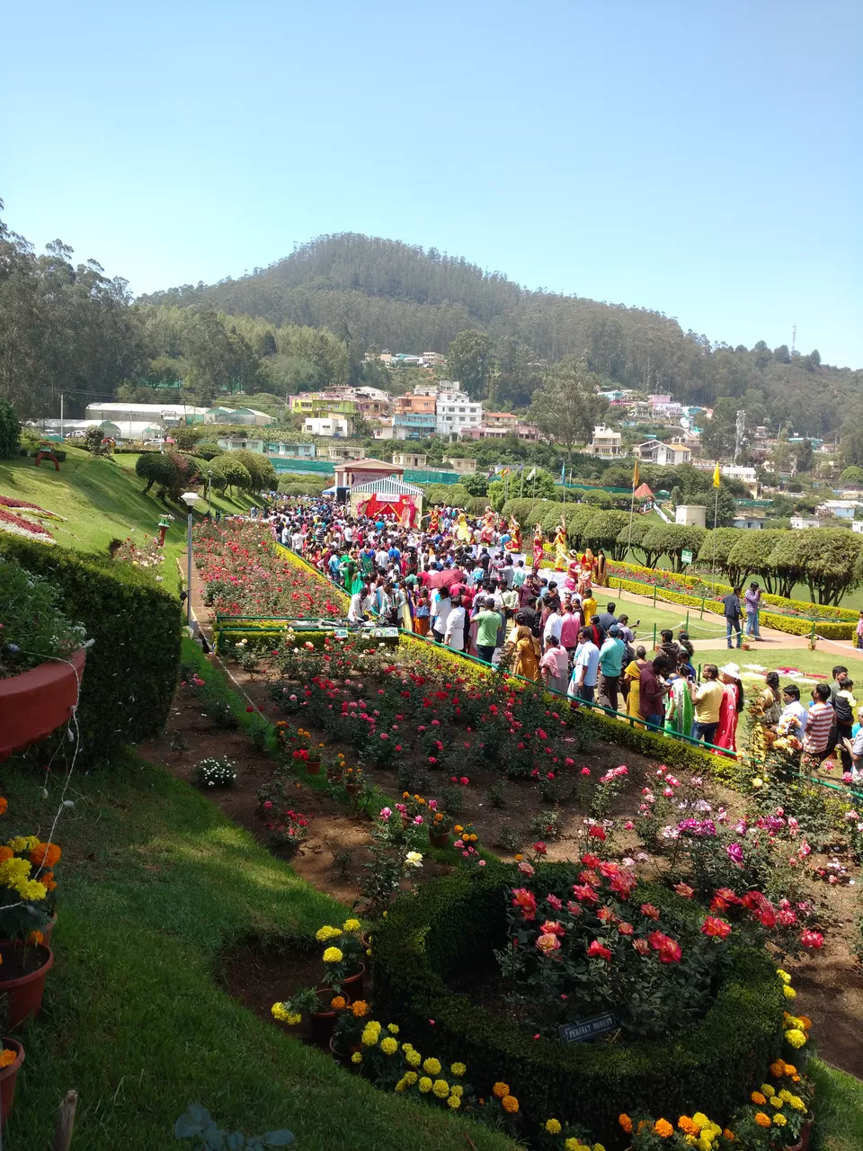 Photo of Rose Garden, Upper Bazaar, Ooty, Tamil Nadu, India by Prajwal Chengappa