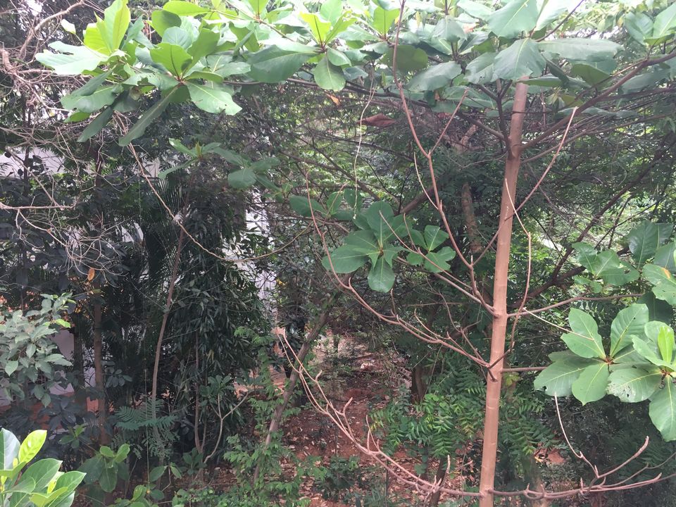 Photo of Bangalore, Karnataka, India by Prajwal Chengappa