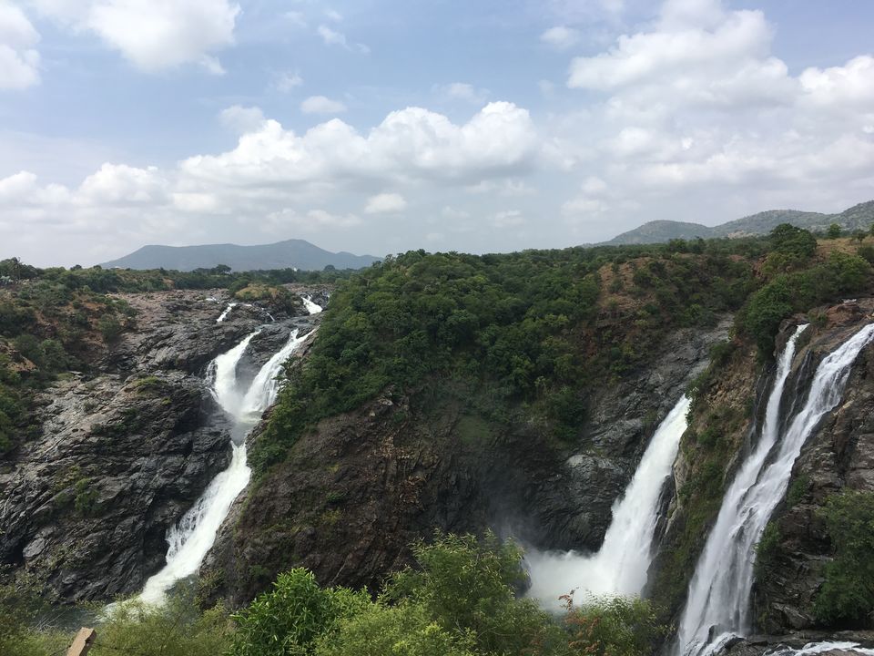 Photo of Bharachukki Waterfalls, Cauvery Beat, Karnataka, India by Prajwal Chengappa