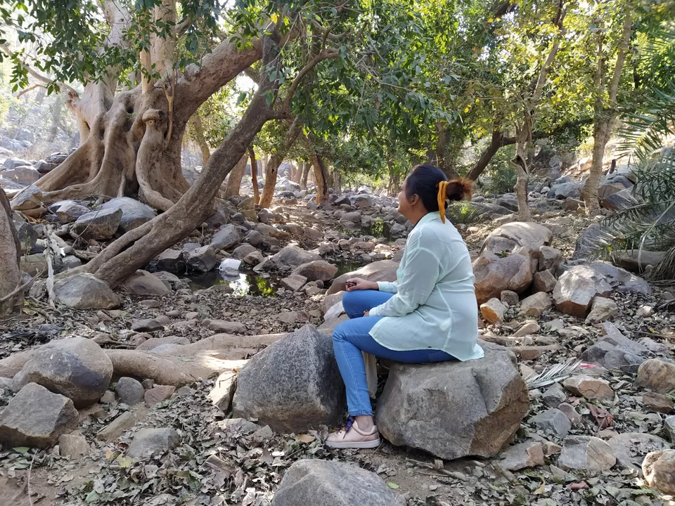 Photo of Sariska National Park by Shalini Magdel Das