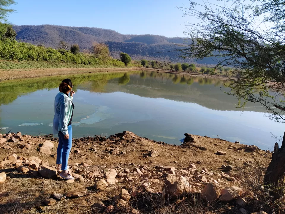 Photo of Sariska National Park by Shalini Magdel Das
