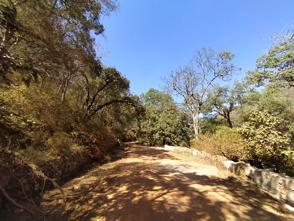 Photo of Sariska National Park by Shalini Magdel Das