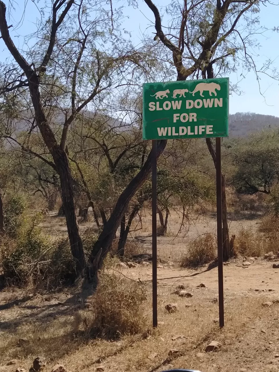 Photo of Sariska National Park by Shalini Magdel Das