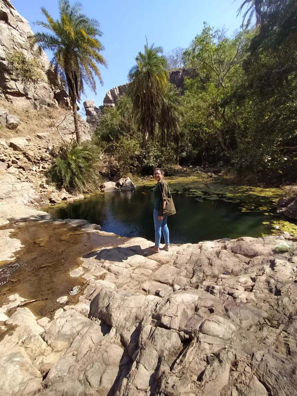 Photo of Sariska National Park by Shalini Magdel Das