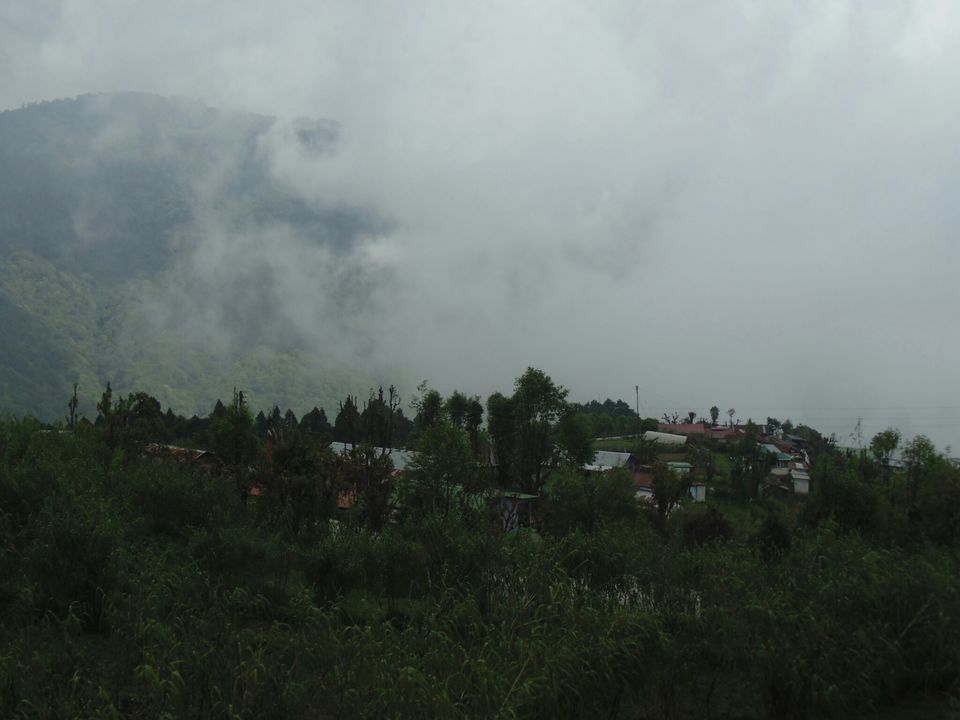 Photos of A Solo Trip To Chatakpur & Lepcha jagat , Darjeeling, West Bengal 1/1 by Rachita