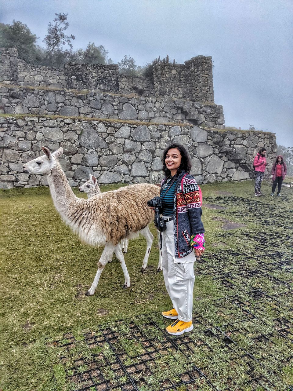 Photo of The Mystery Behind Machu Picchu - One of Seven Wonders of World 6/7 by Soumi Datta