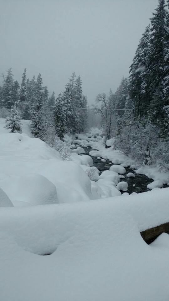 Photo of Apple Cup Cafe, East Woodin Avenue, Chelan, WA, United States by Pooja Galgali