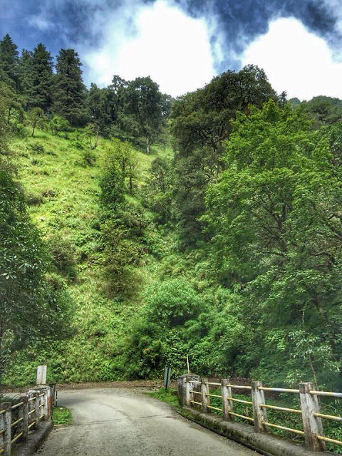 Photo of Kilbury Forest Rest House, Naina Range, Uttarakhand, India by The TwinTrippers