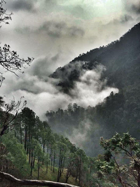 Photo of The misty affair in Pangot by The TwinTrippers
