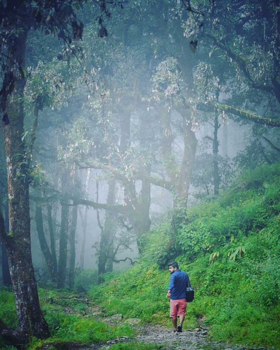 Photo of The misty affair in Pangot by The TwinTrippers