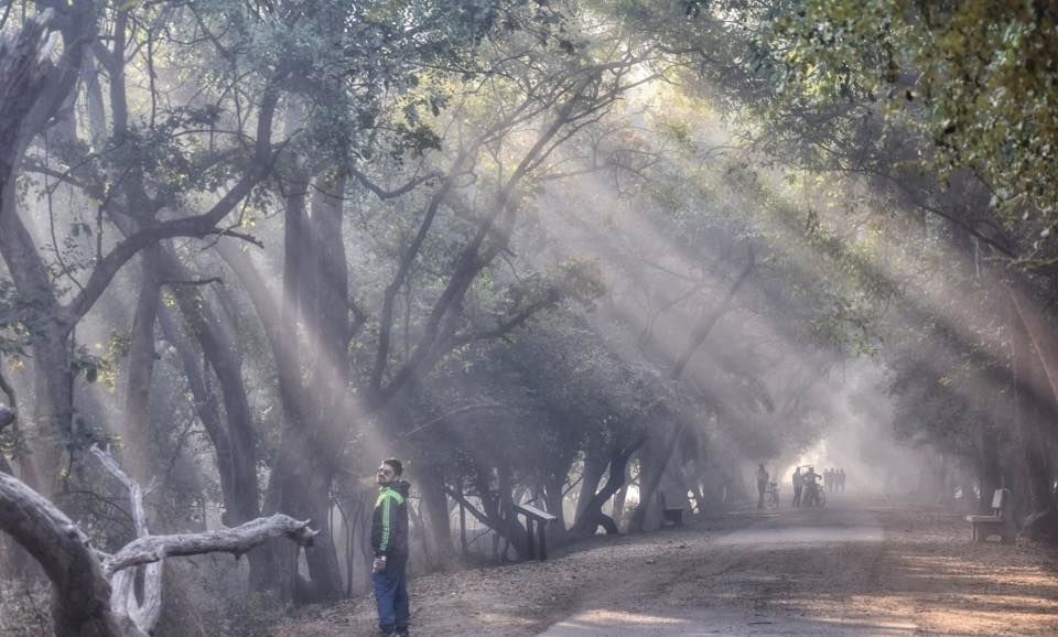 Photo of Bharatpur Bird Sanctuary: A day in Nature's lap 1/13 by The TwinTrippers