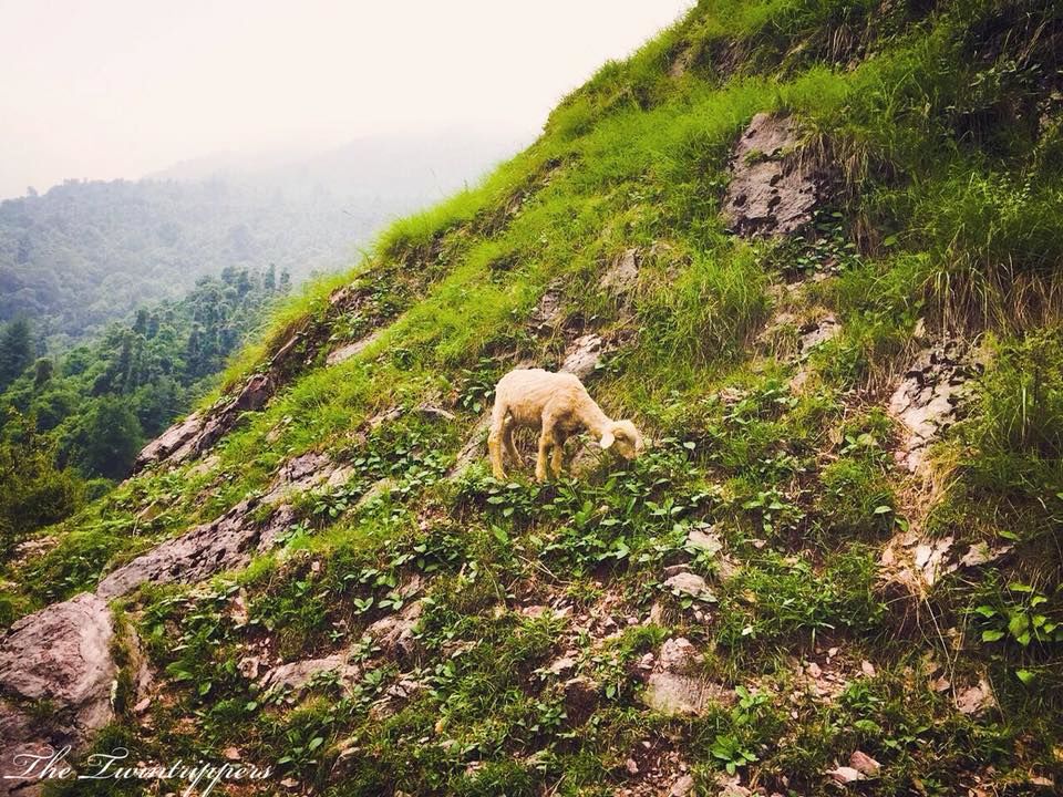 Photo of In search of Solitude #BestOfTravel by The TwinTrippers