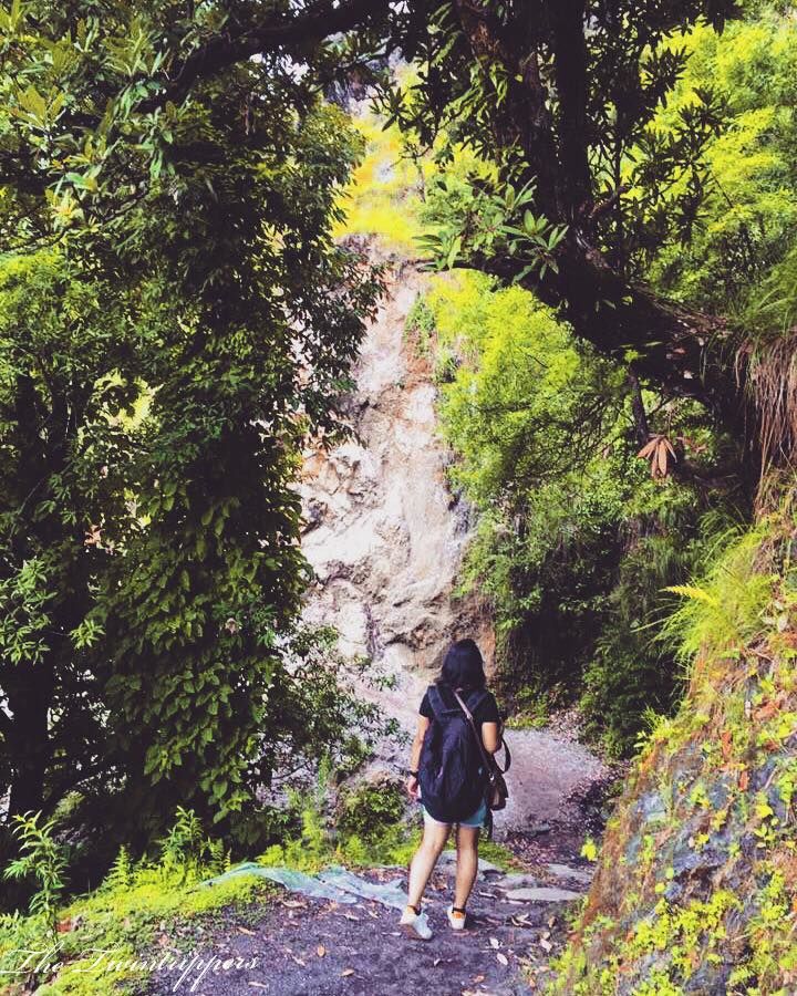 Photo of McLeod Ganj, Dharamshala, Himachal Pradesh, India by The TwinTrippers
