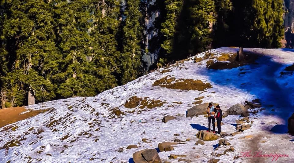 Photo of Snow Tales from Narkanda by The TwinTrippers
