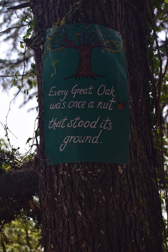 Photo of A Stroll in Sleepy Landour by The TwinTrippers