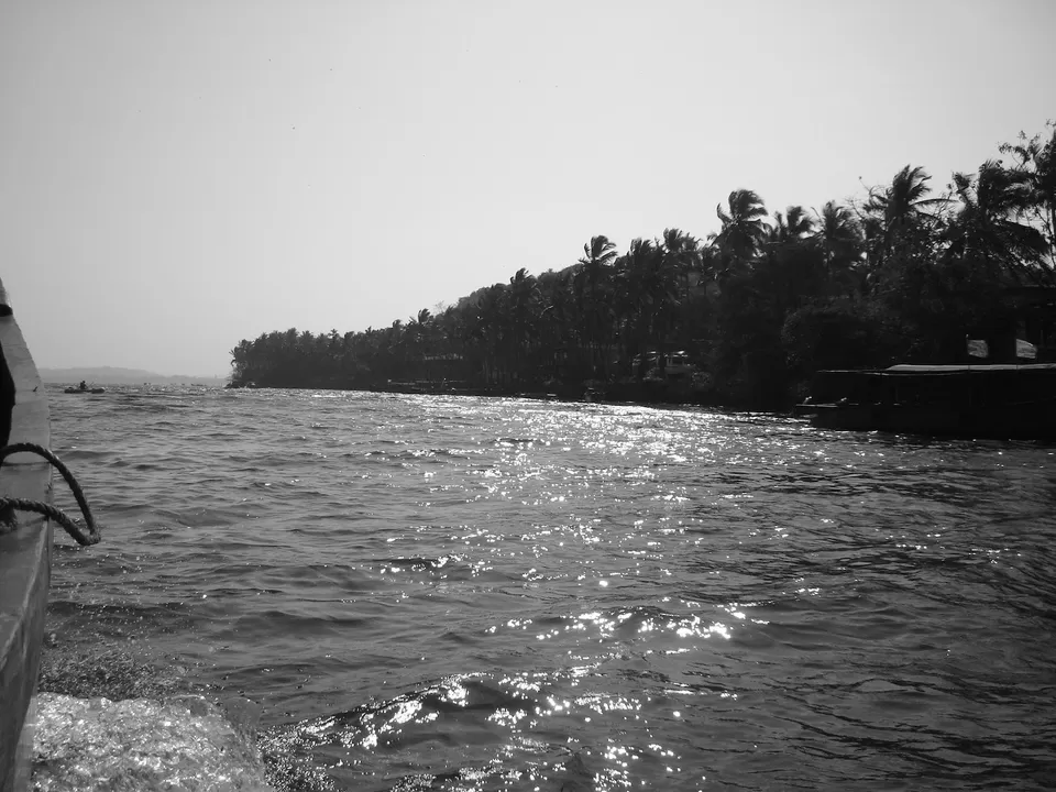 Photo of Goa Dolphin Trips, Aguada Fort Area, Candolim, Goa, India by Himanshi Mundeja