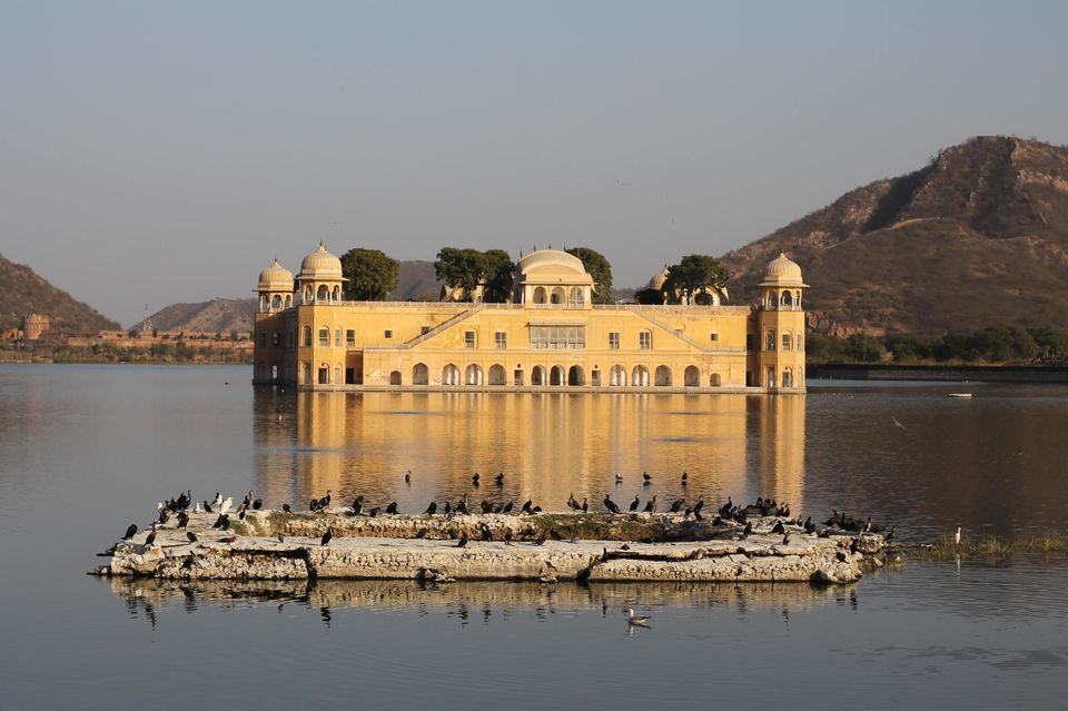 Photo of Jal Mahal, Amer, Jaipur, Rajasthan, India by Himanshi Mundeja