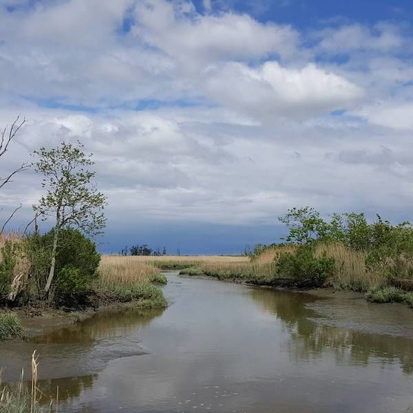 Photo of Bombay Hook National Wildlife Refuge in Delaware 1/4 by Jake Henry