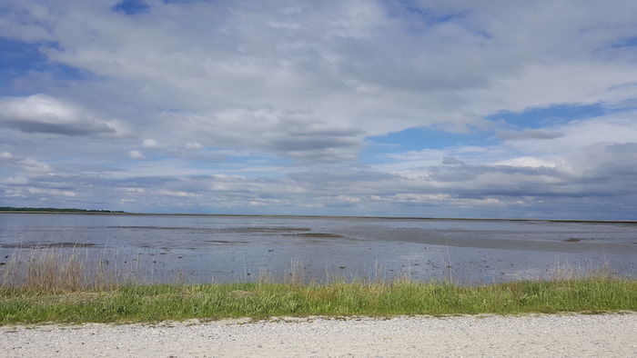 Photo of Bombay Hook National Wildlife Refuge in Delaware 2/4 by Jake Henry